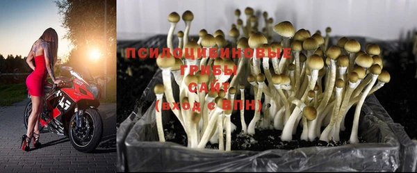 герыч Балахна