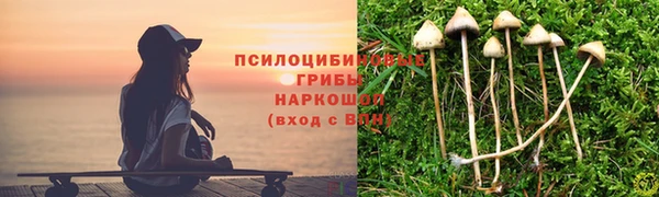 соль ск Балабаново